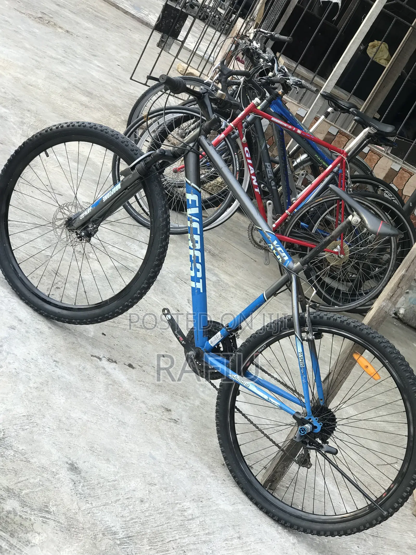 Bicycle Riding