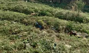871.79sqm Residential Land For Sale In Lifecamp