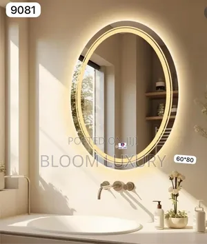 Oval Shaped 3 Color Led Mirror