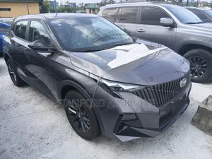 New Car 2025 Gray