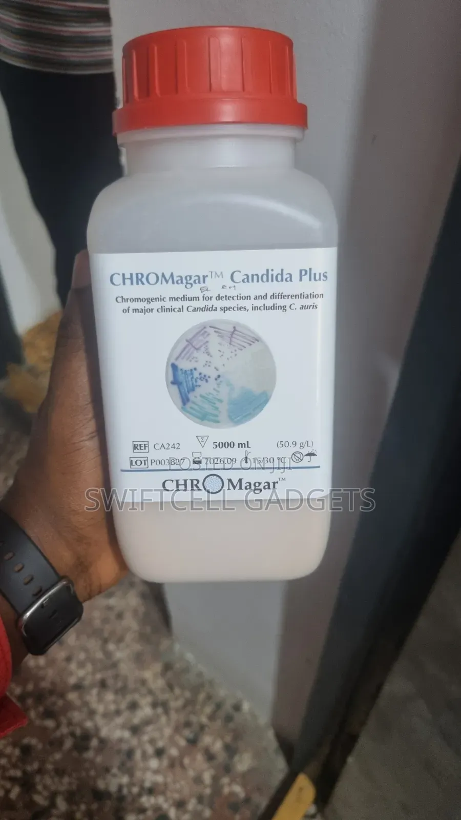 Chromagar Candida Plus