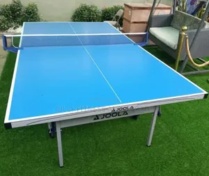 Outdoor Table Tennis