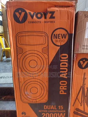 Voyz Dual 15 Inches Public Address System