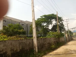 To Let: 5 Plots at Old Gra Ph