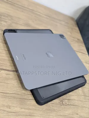Apple iPad Pro 1 TB Gray