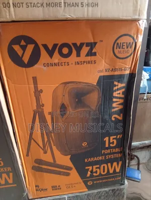 Voyz Single 15 Inches Public Address System