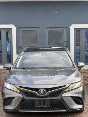 Toyota Camry XSE (2.5L 4cyl 8A) 2019 Gray