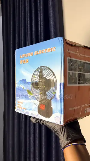 Lithium Electrics Fan With Dual Batteries