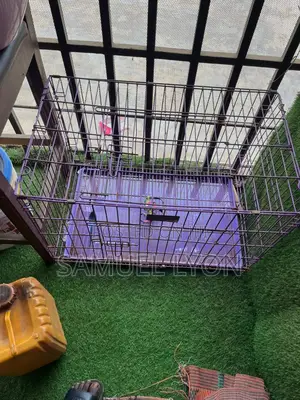 Strong Collapsible Cage for Puppies and Adult