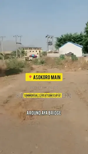 Direct Commercial 2.295.67sqm At Asokoro Main, Around Aya Bridge