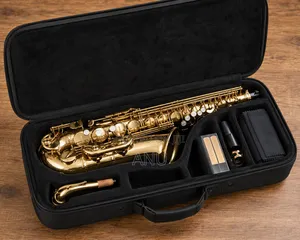 Professional Saxophone