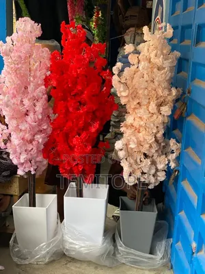 Cherry Blossom Tree