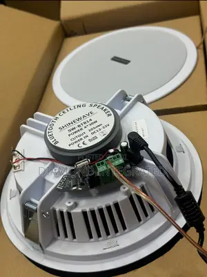 High Quality Shinewave 2 in 1 Bluetooth Ceiling Speaker