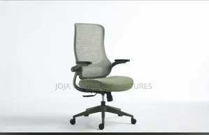 Recline Ergonomic Chair