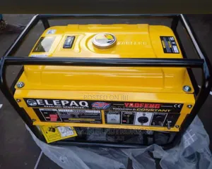 4.5 Kva Elepaq Constant Generator