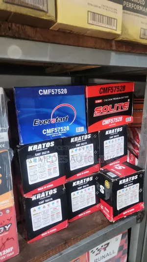 Everstart 75ahs Battery