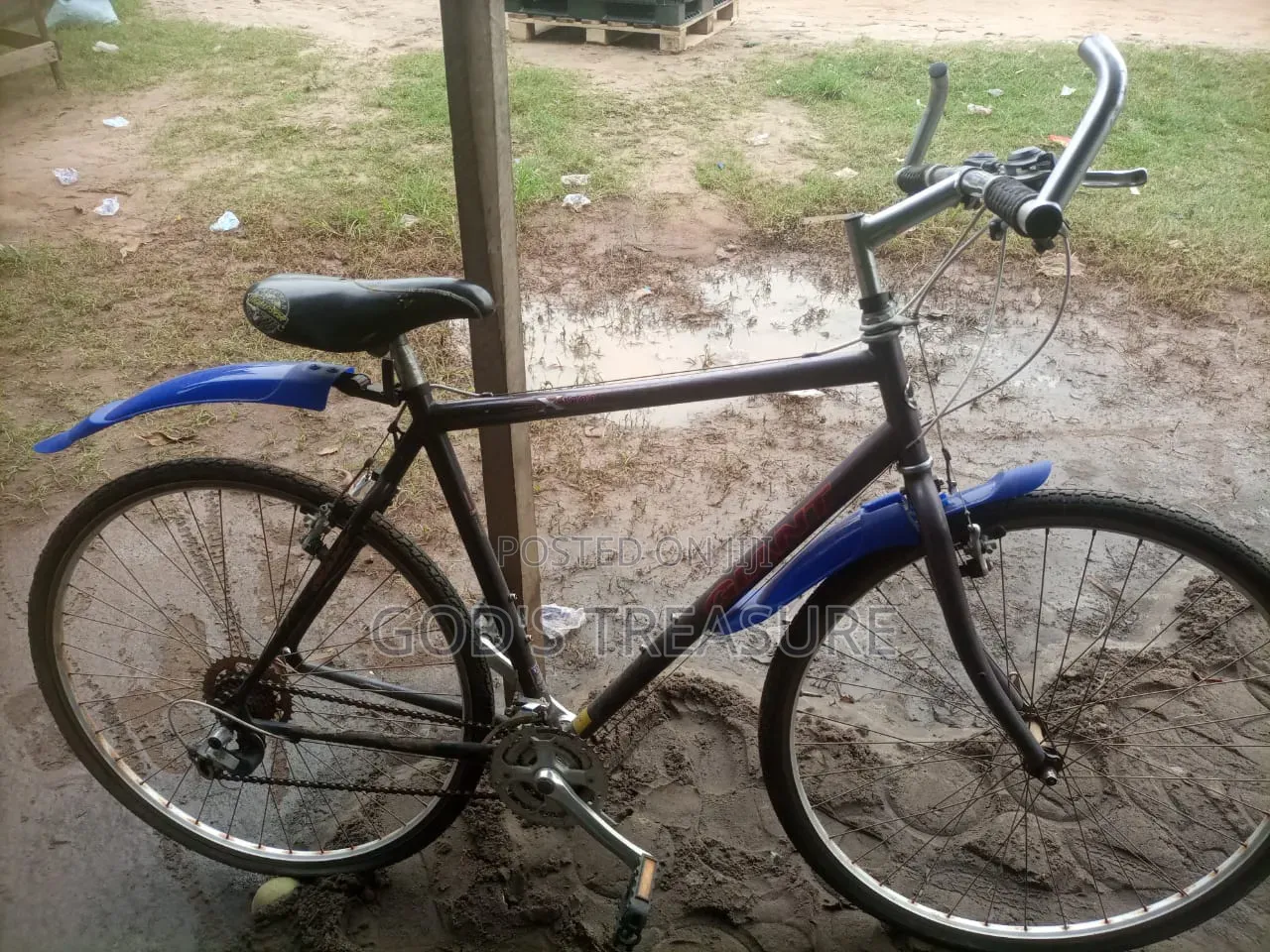 Neatly Used Adult Bicycle