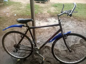 Neatly Used Adult Bicycle
