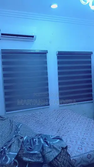 Window Blinds