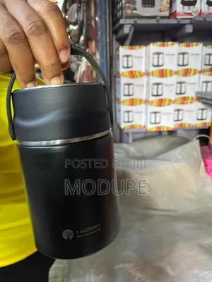 Insulin Food Flask