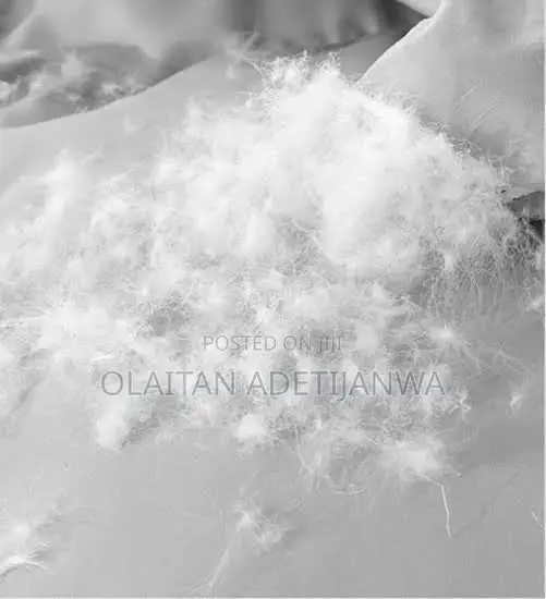 Couture White Goose Feather and Down Sleeping Pillow