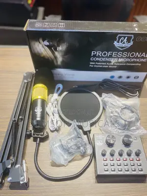 Classic Audio Bm800 Professional Studio Recording Condenser Microphone
