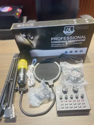 Bm800 Classic Audio Studio Recording Condenser Studio Bundle