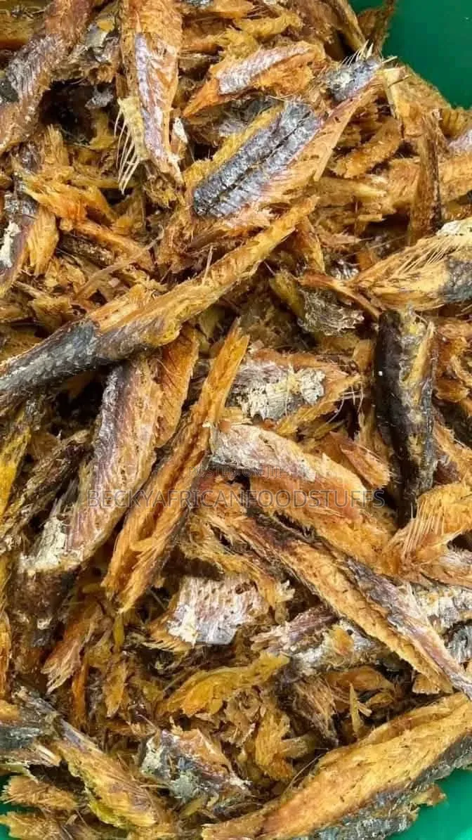 Bonga Fish