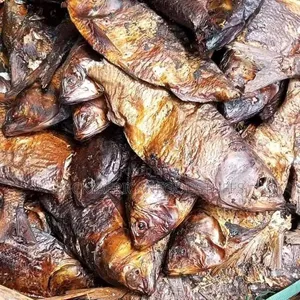 Bonga Fish
