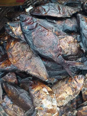Bonga Fish