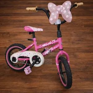 Kids Bicycle With Training Wheels