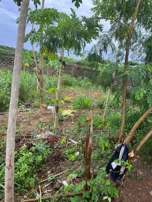 A Plot of Land for Sale at Gemade Estate Egbeda