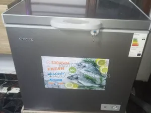 Snow Sea Deep Freezer