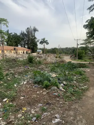 Certificate of Occupancy