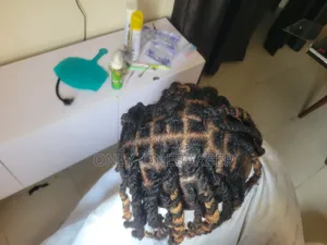 Male Starter Locs, Dreadlocks, Locs Extension Retwist and Installation