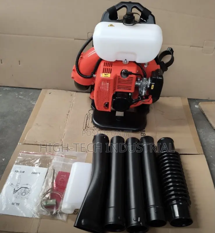 Backpack Engine Mist Blower