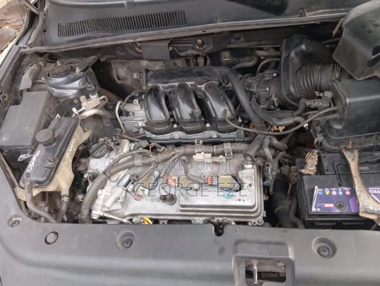 Toyota RAV4 Limited V6 2009 Green