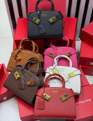 Premium Ladies Hand Bag