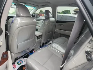 Lexus RX 2010 Gray