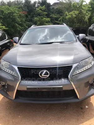 Lexus RX 2013 Gray