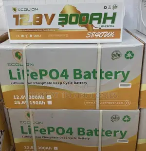 Ecolion 12.8v 300ah Lifepo4 Lithium Deep Cycle Battery (3840wh)