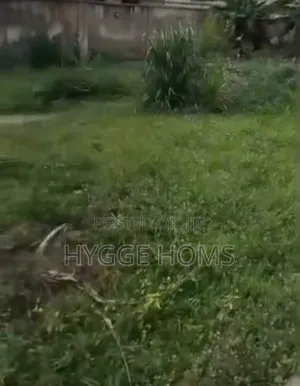 616sqm Land Abimbola Awoliyi Estate Cofo
