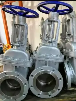 10"Inch X150wcb Heavy Duty Gate Valve(Brand New)