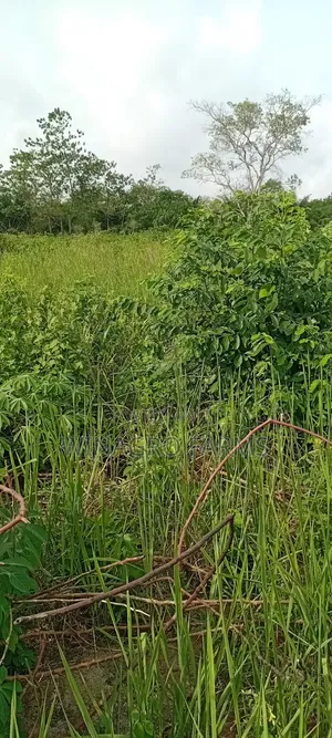 Farmers Hub Agric Land