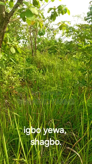 Farmers Hub Agric Land