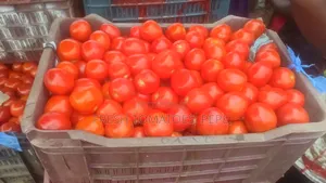 Fresh Tomatoes