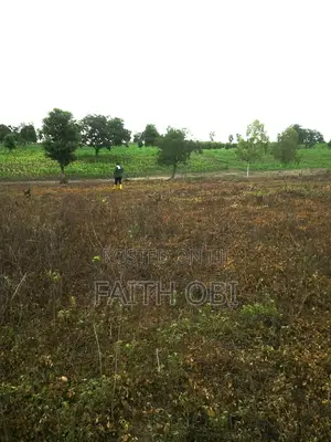 Arable Farm Land For Lease