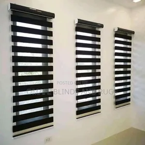 Day and Night Window Blinds