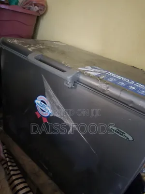 Thermocool Inverter Freezer 319l