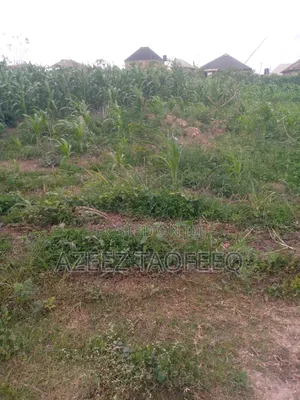One And Half Plot